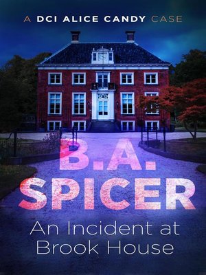 cover image of An Incident at Brook House